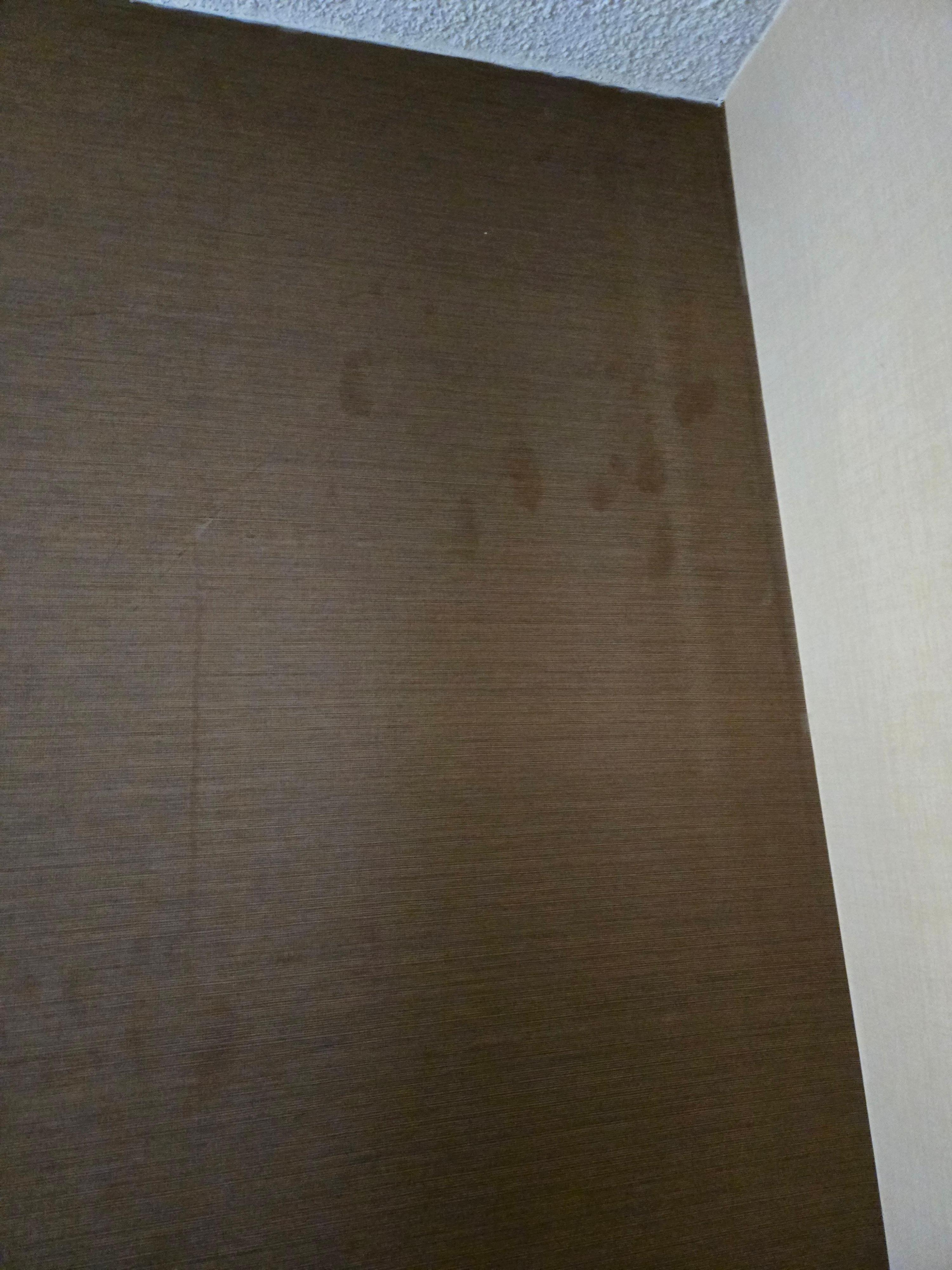 Handprints and stains on wall