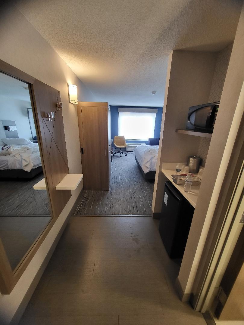 Fridge and microwave