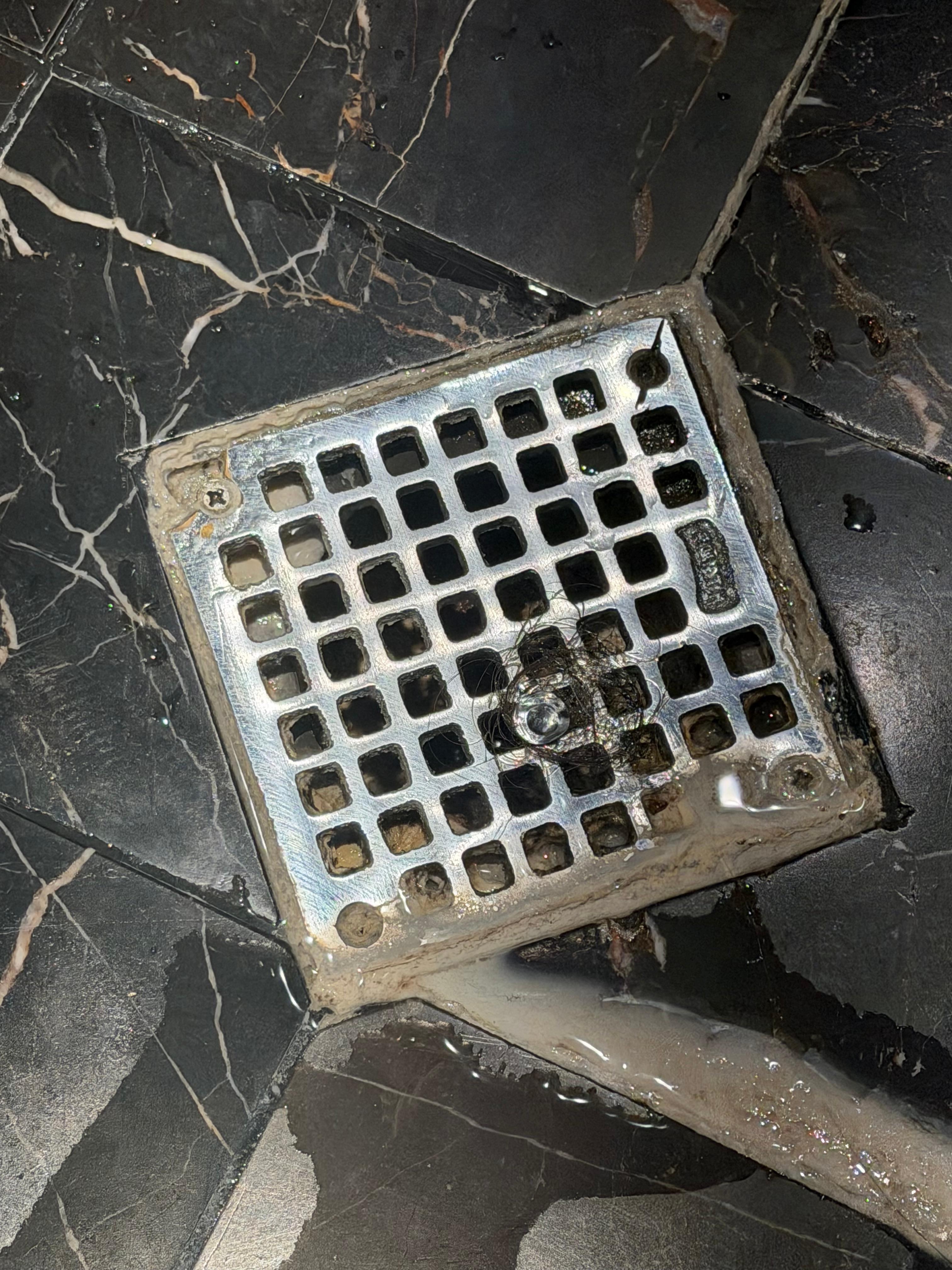 Dirt and hair which belongs to who knows who coming back up the drain as I was showering.  