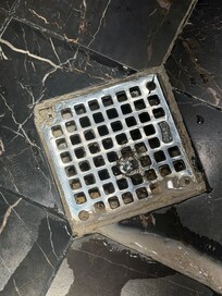 Dirt and hair which belongs to who knows who coming back up the drain as I was showering.