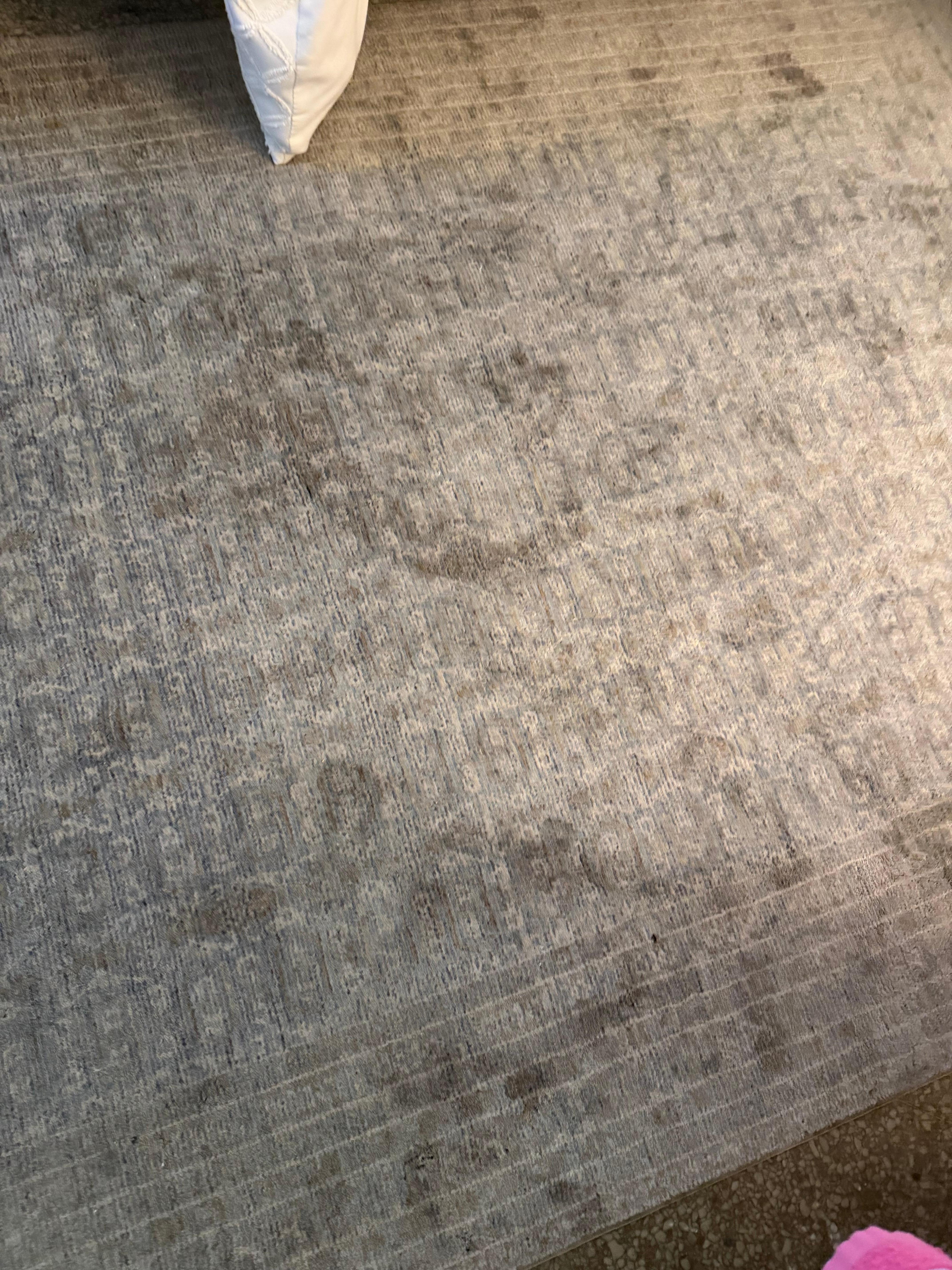 Dirty stained rug