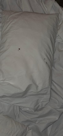 Bloody pillow case