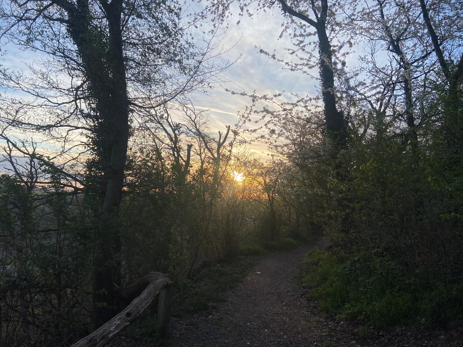 Rundwanderweg Namedy 