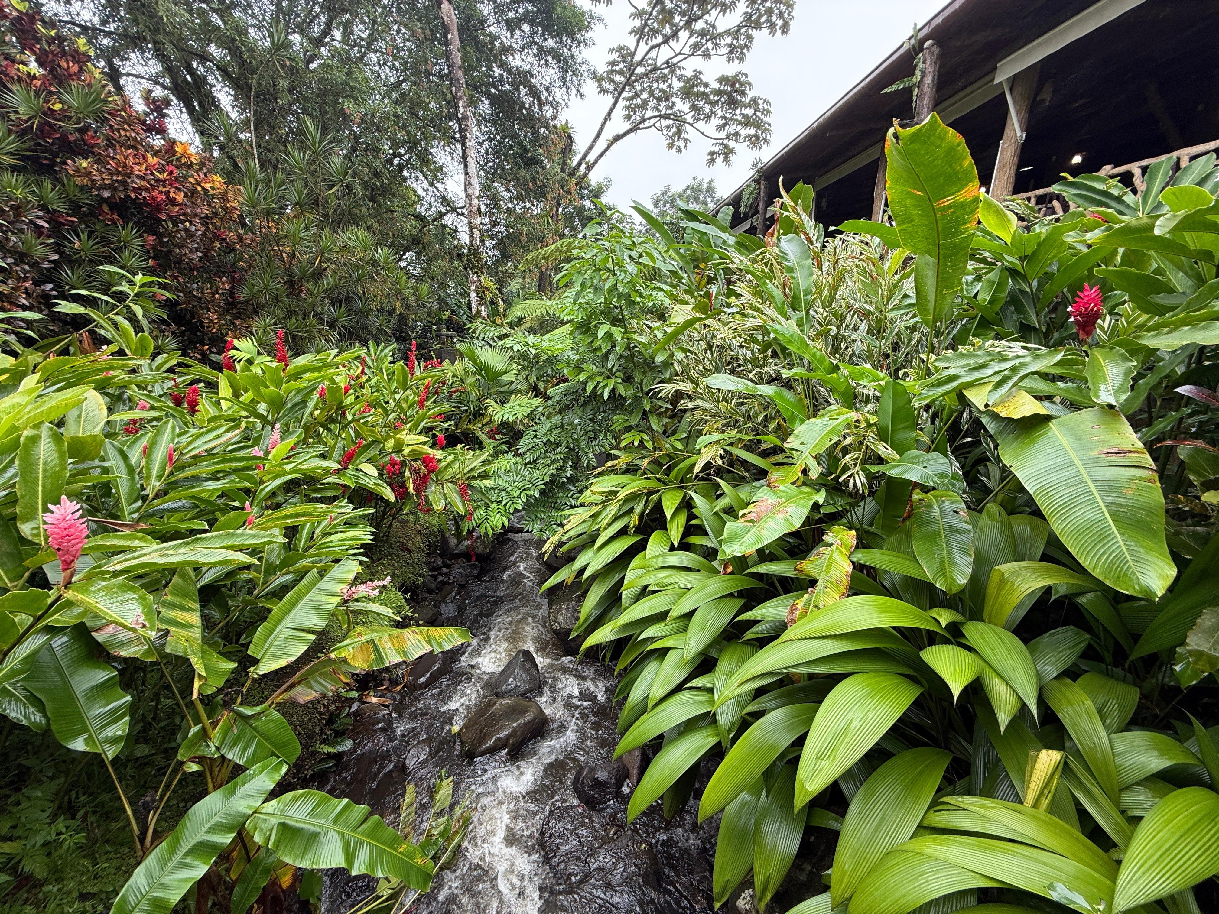 Garden and river along dining room