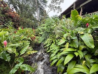 Garden and river along dining room