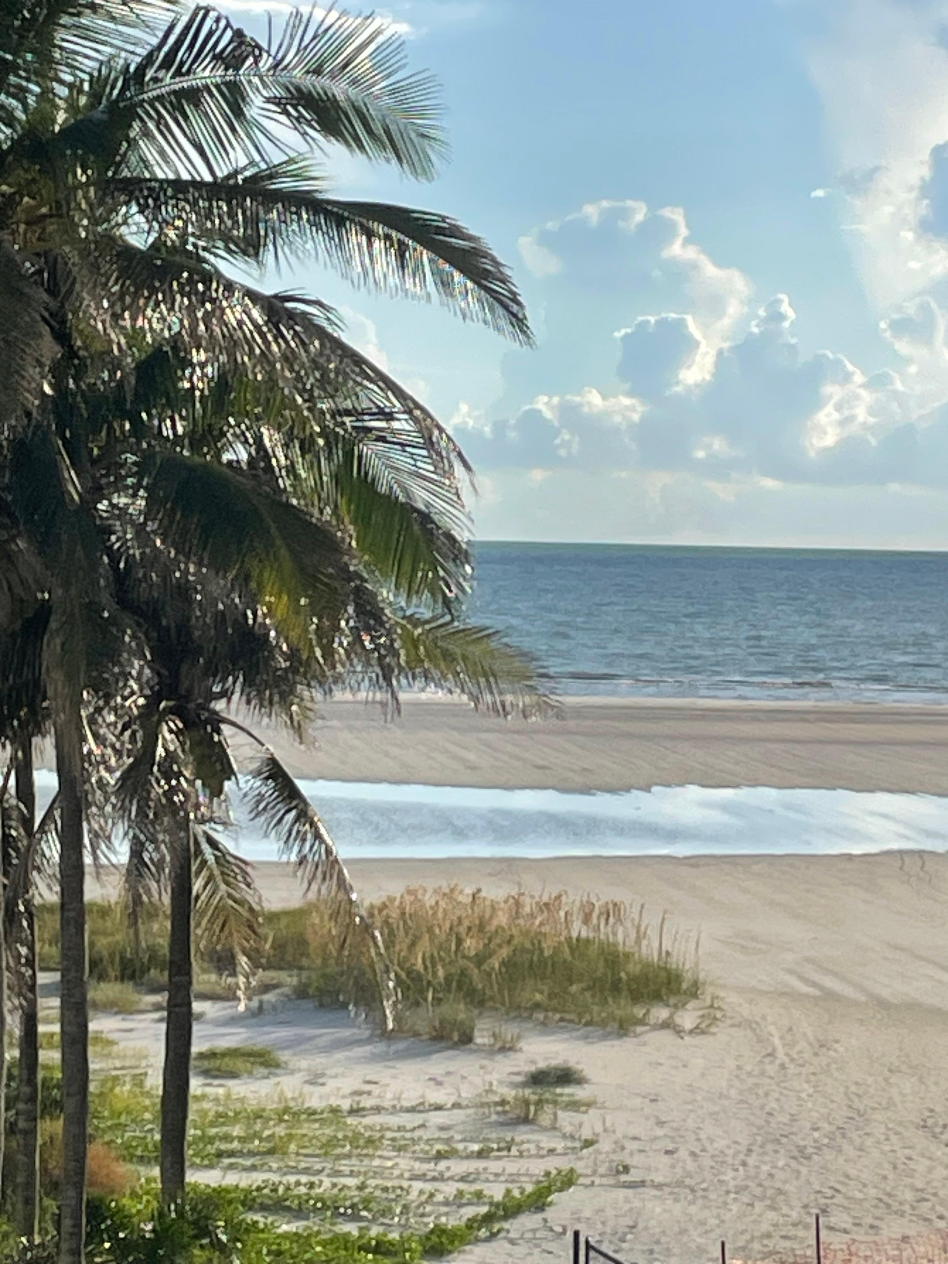 The photo is the veiw from the lovely screened balcony!