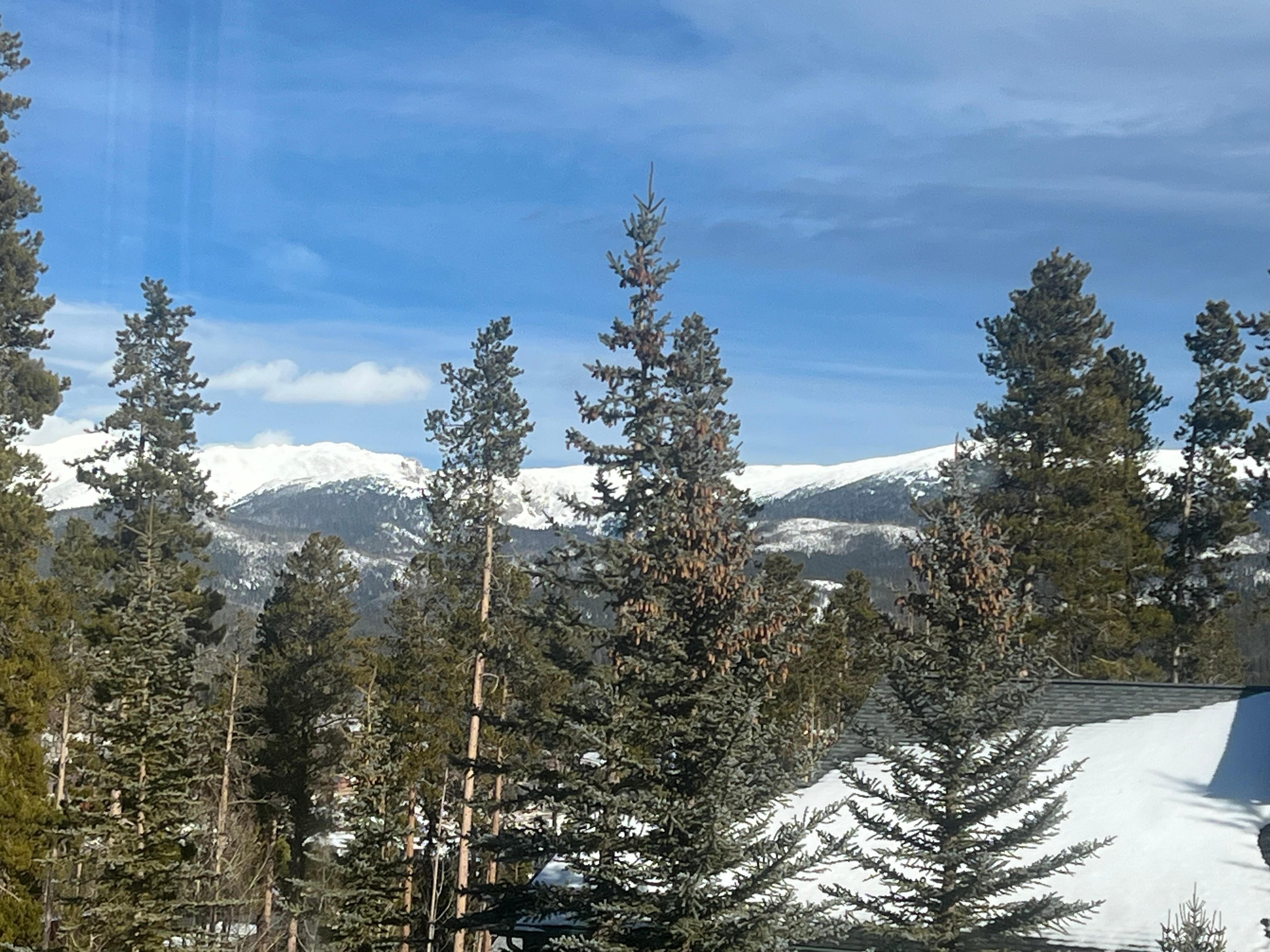 View outside the kitchen window of the home