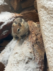 This guy was surprised by the snow too :)
