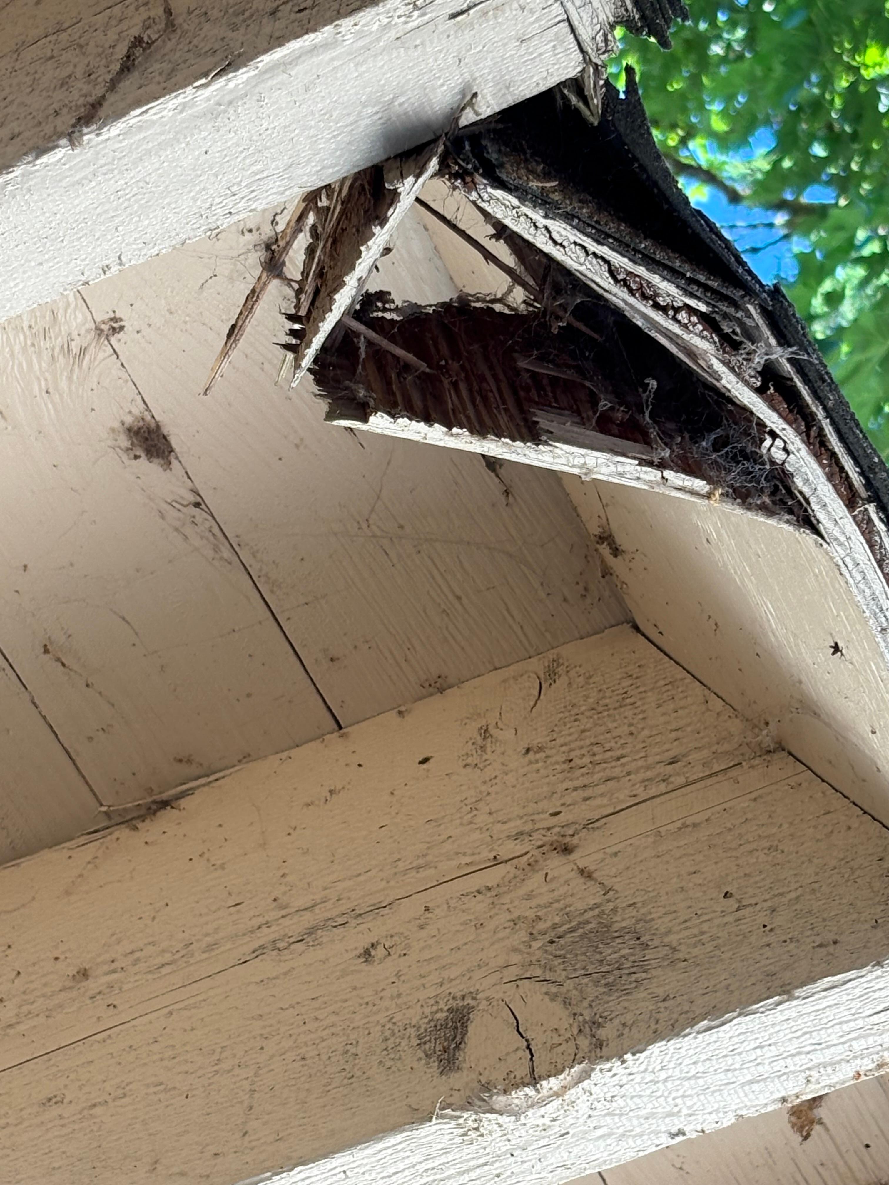 Roof is falling apart 