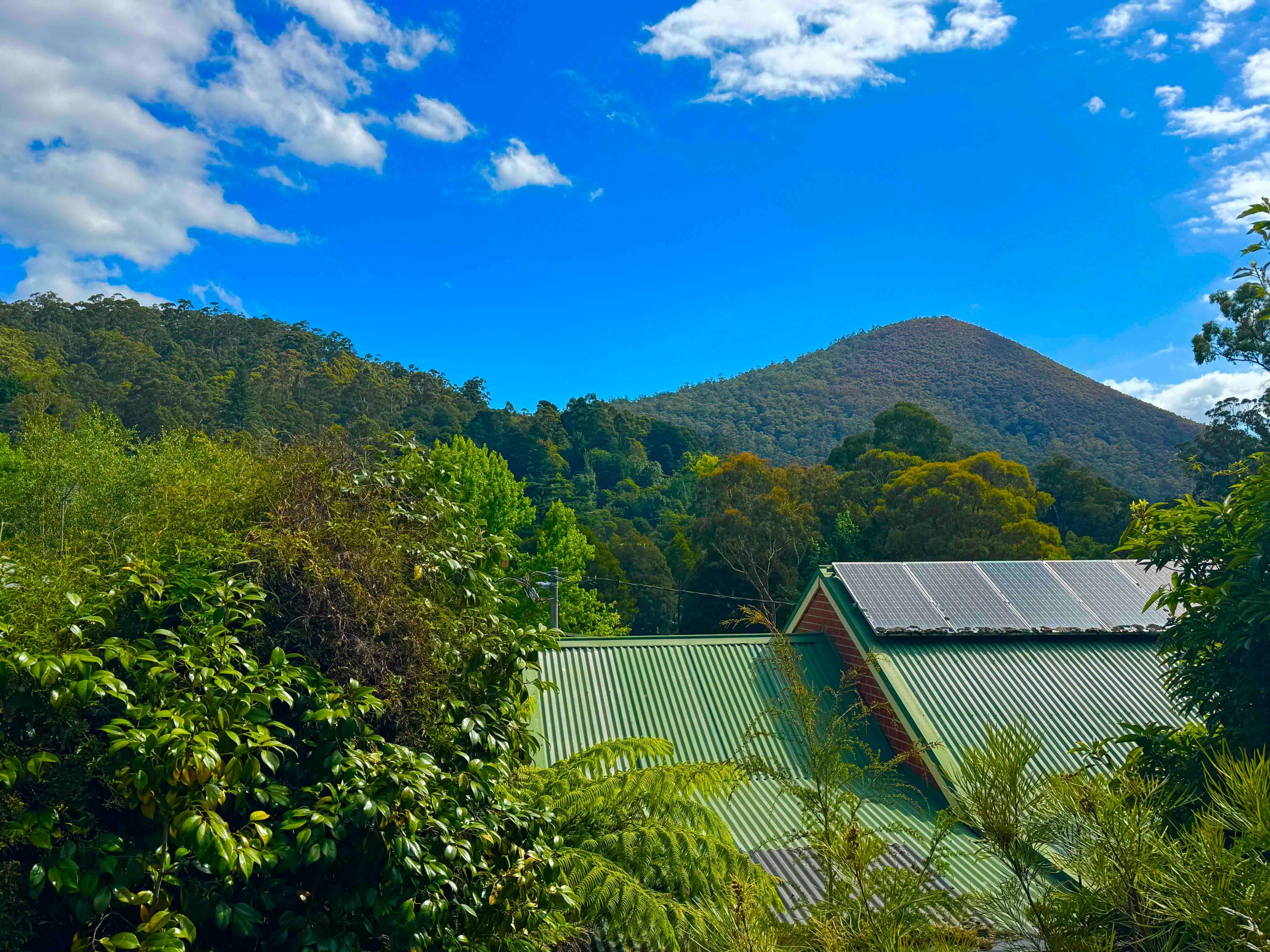 View from the kitchen