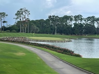 TPC #17