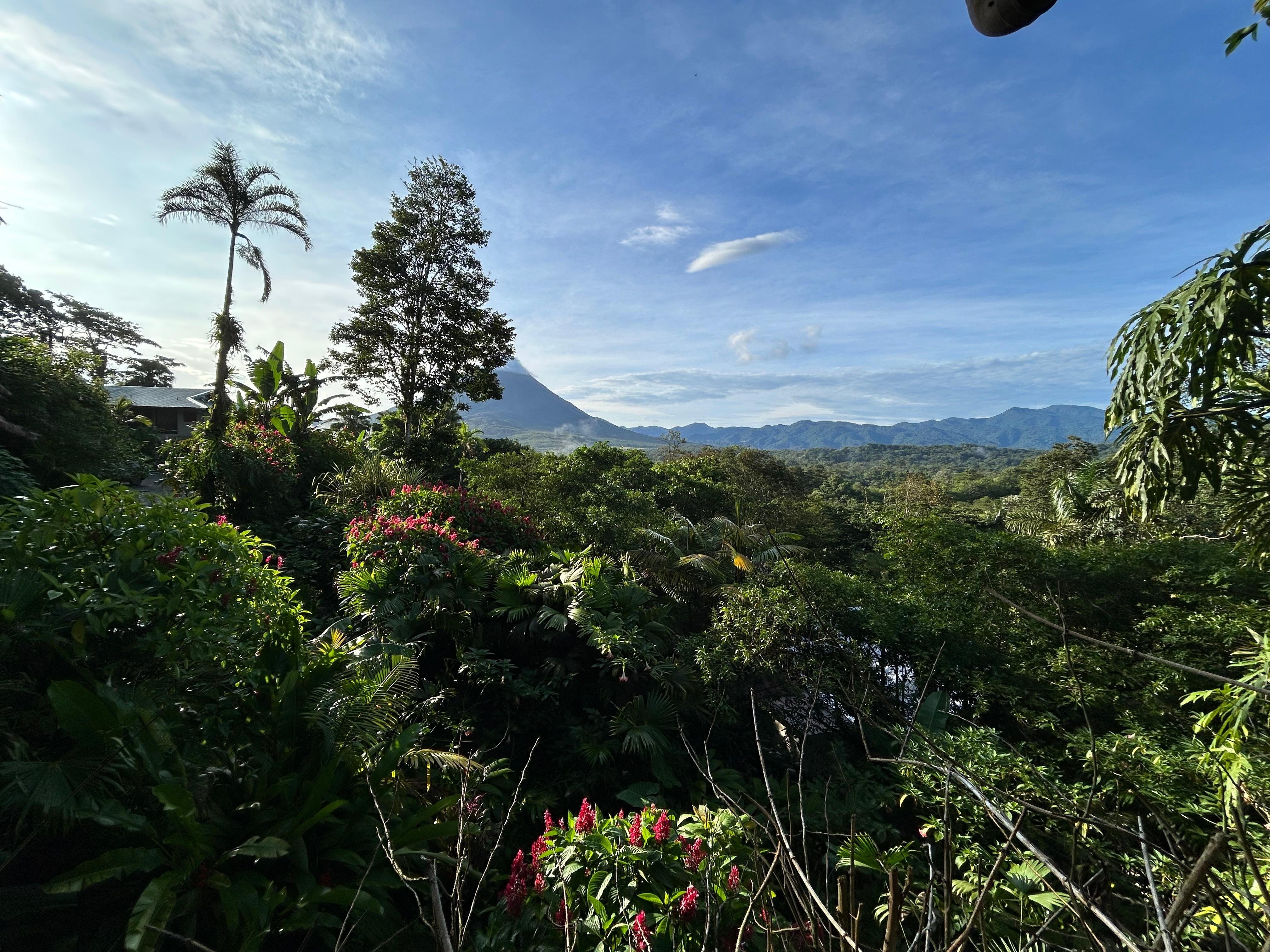 Room view 