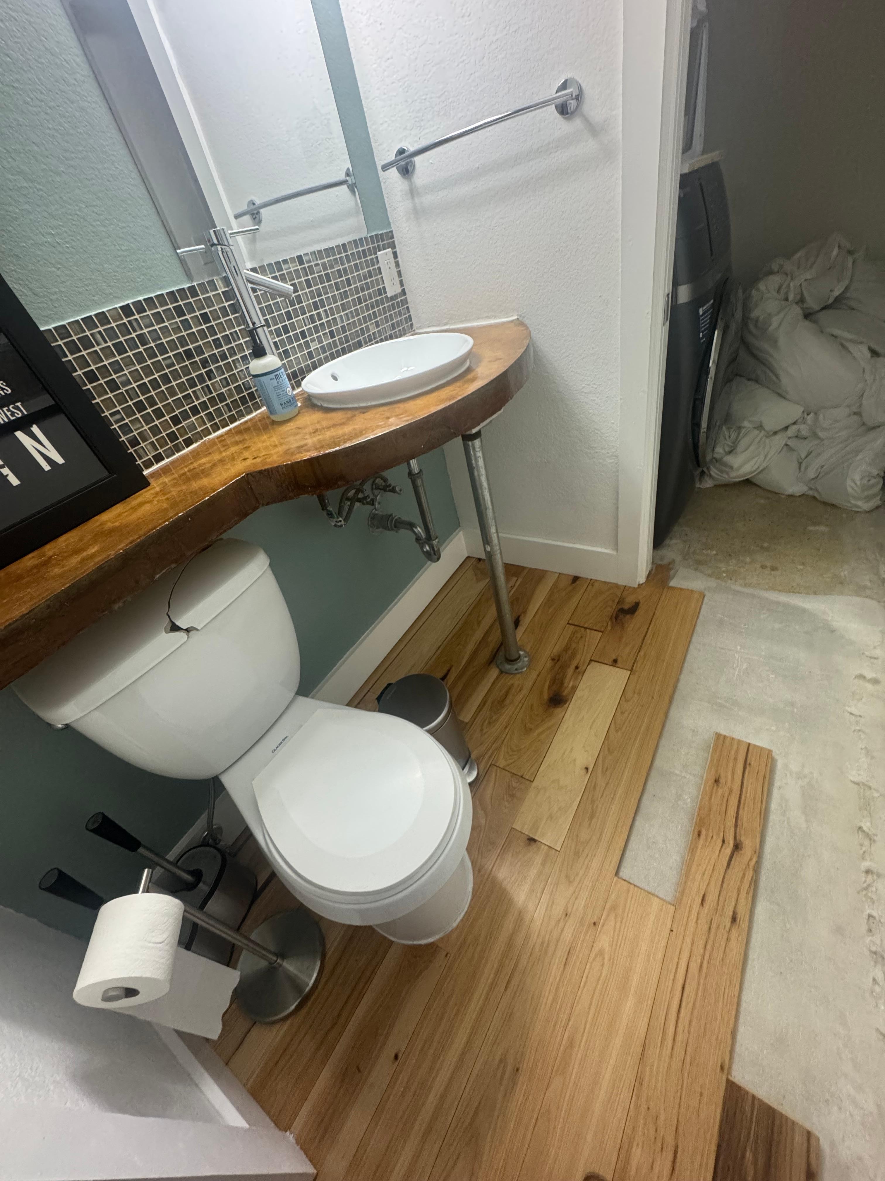 The downstairs, laundry room and bathroom showcasing the broken toilet. 
