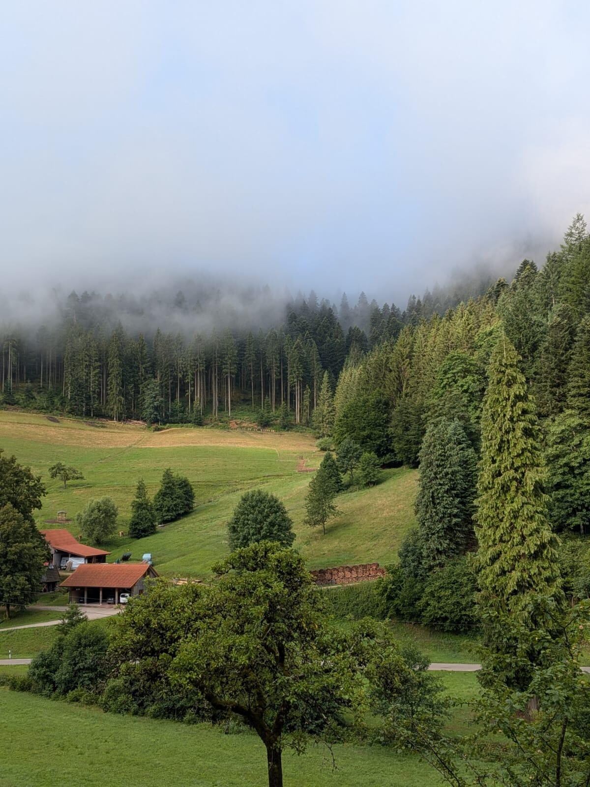 Sehr idyllische ruhige Berglandschaft in der unmittelbaren Umgebung.