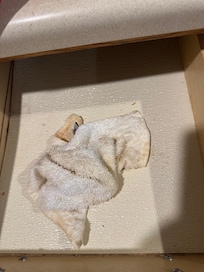 Dirty gross old rag in drawer