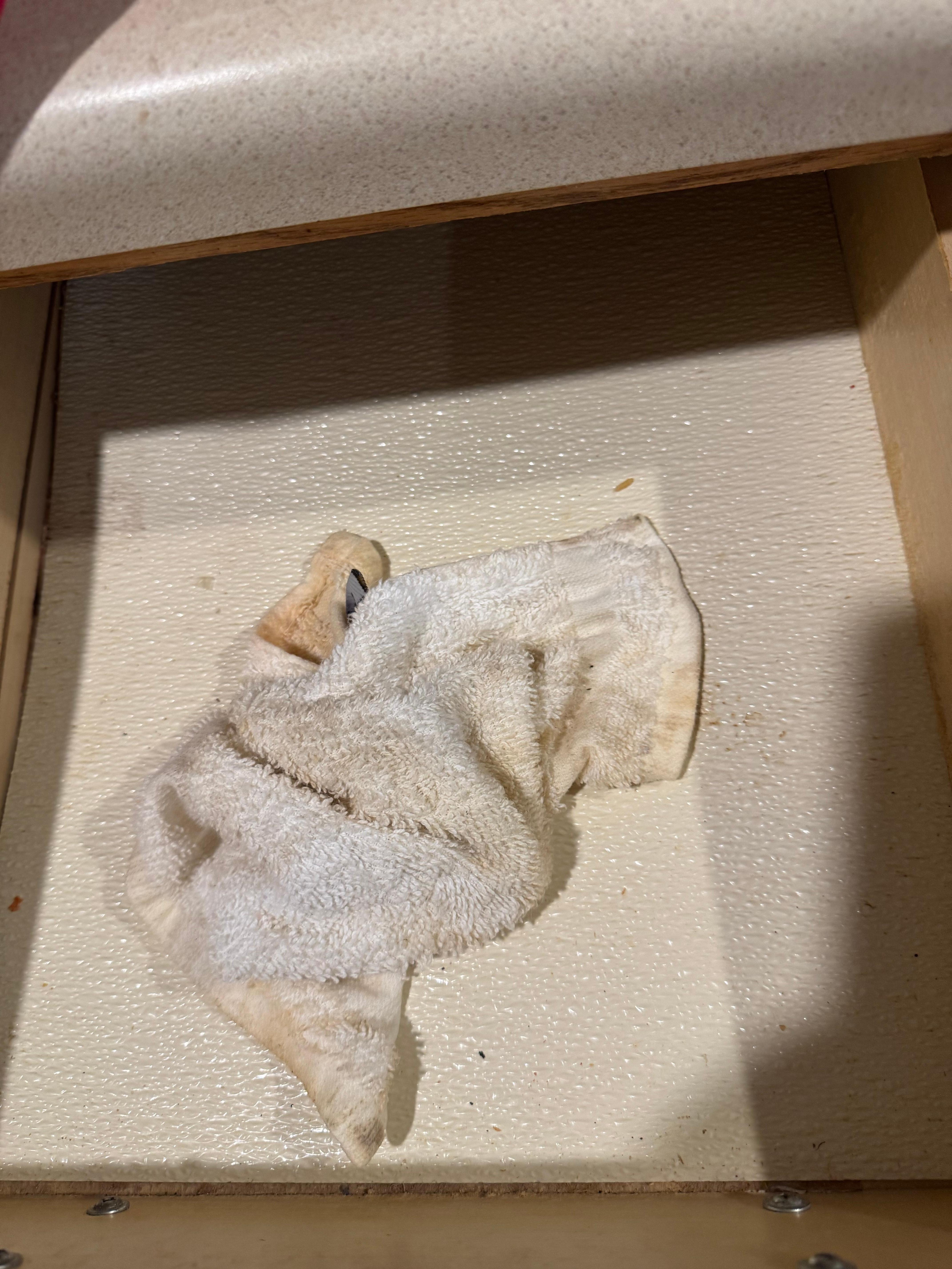 Dirty gross old rag in drawer