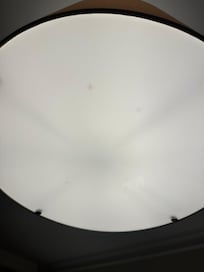 Dead bugs in ceiling light