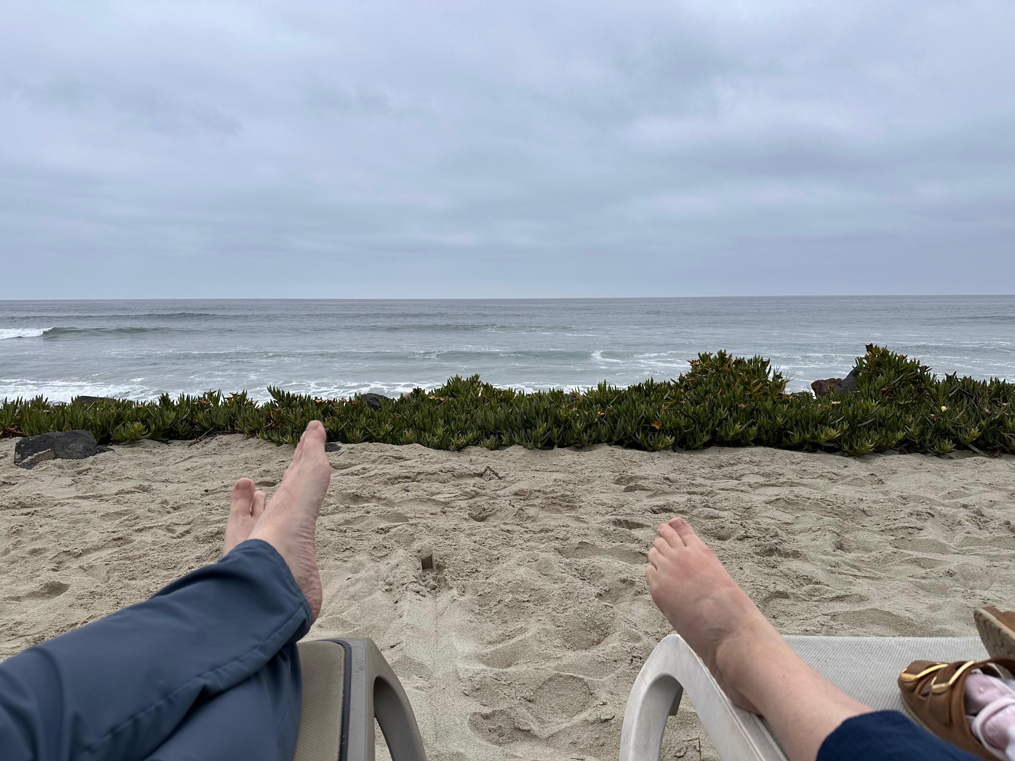 From the sandy back yard