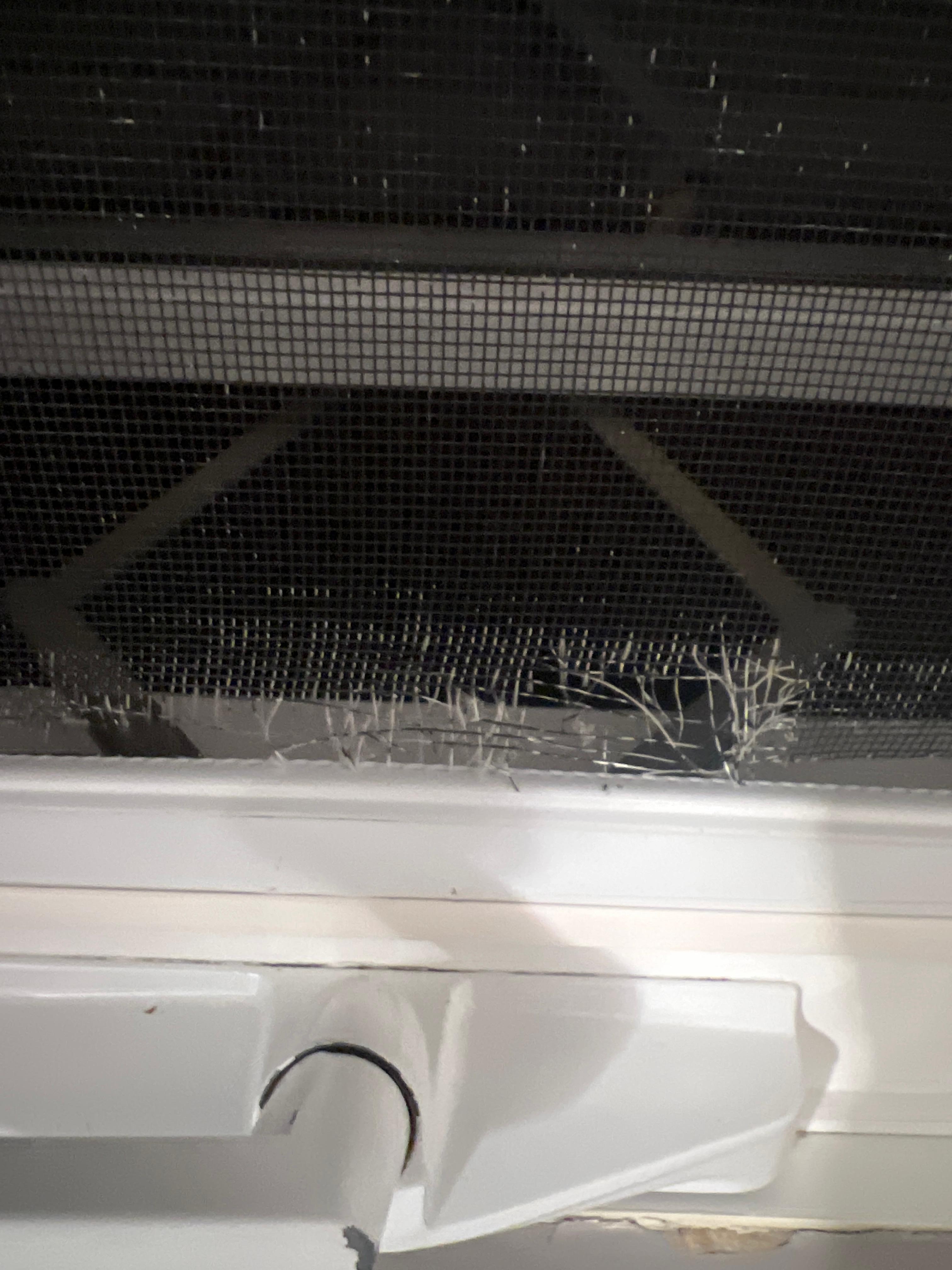 Screen