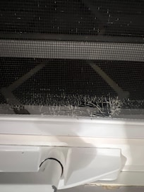 Screen