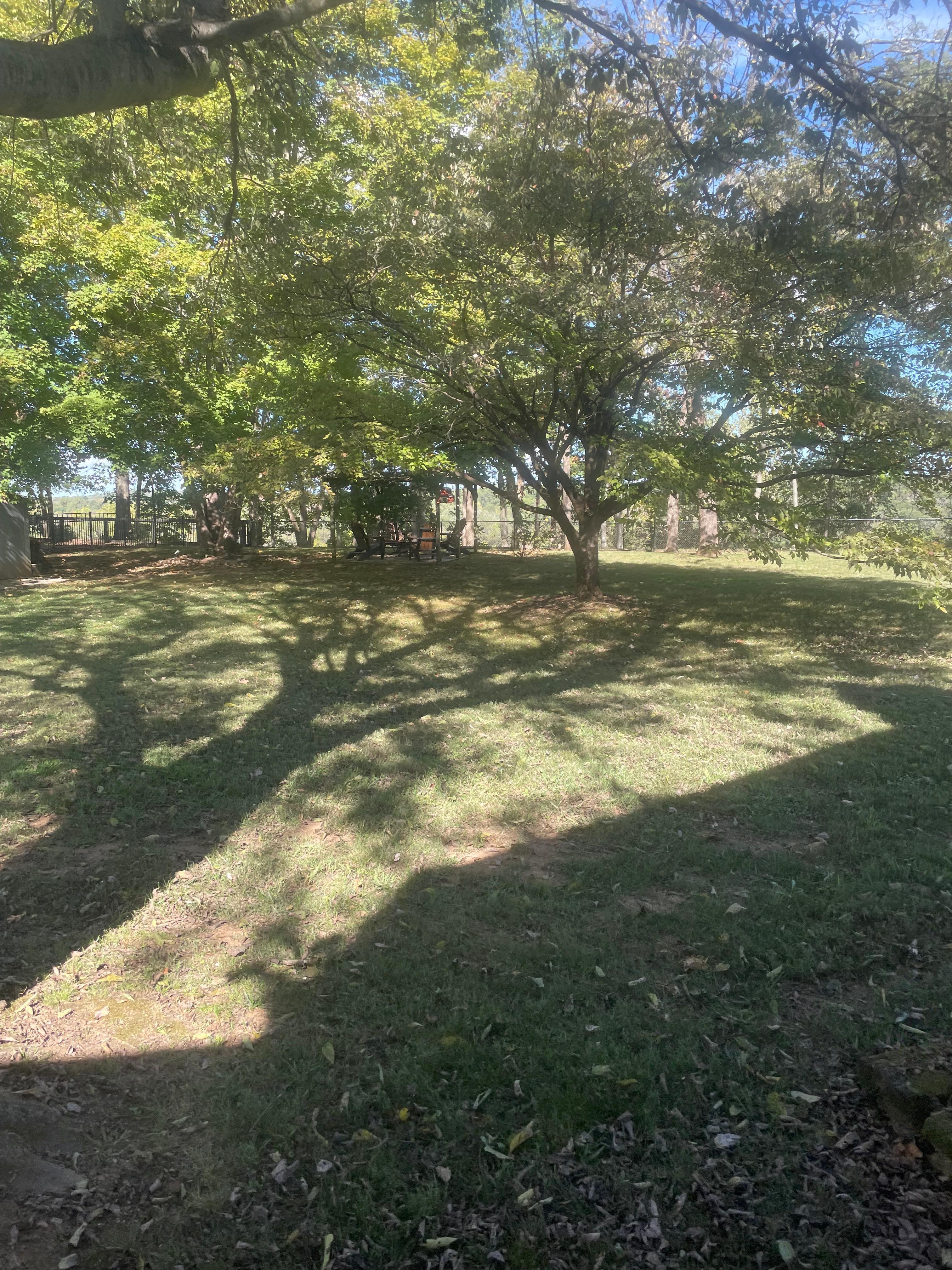 Absolute  perfection ! 