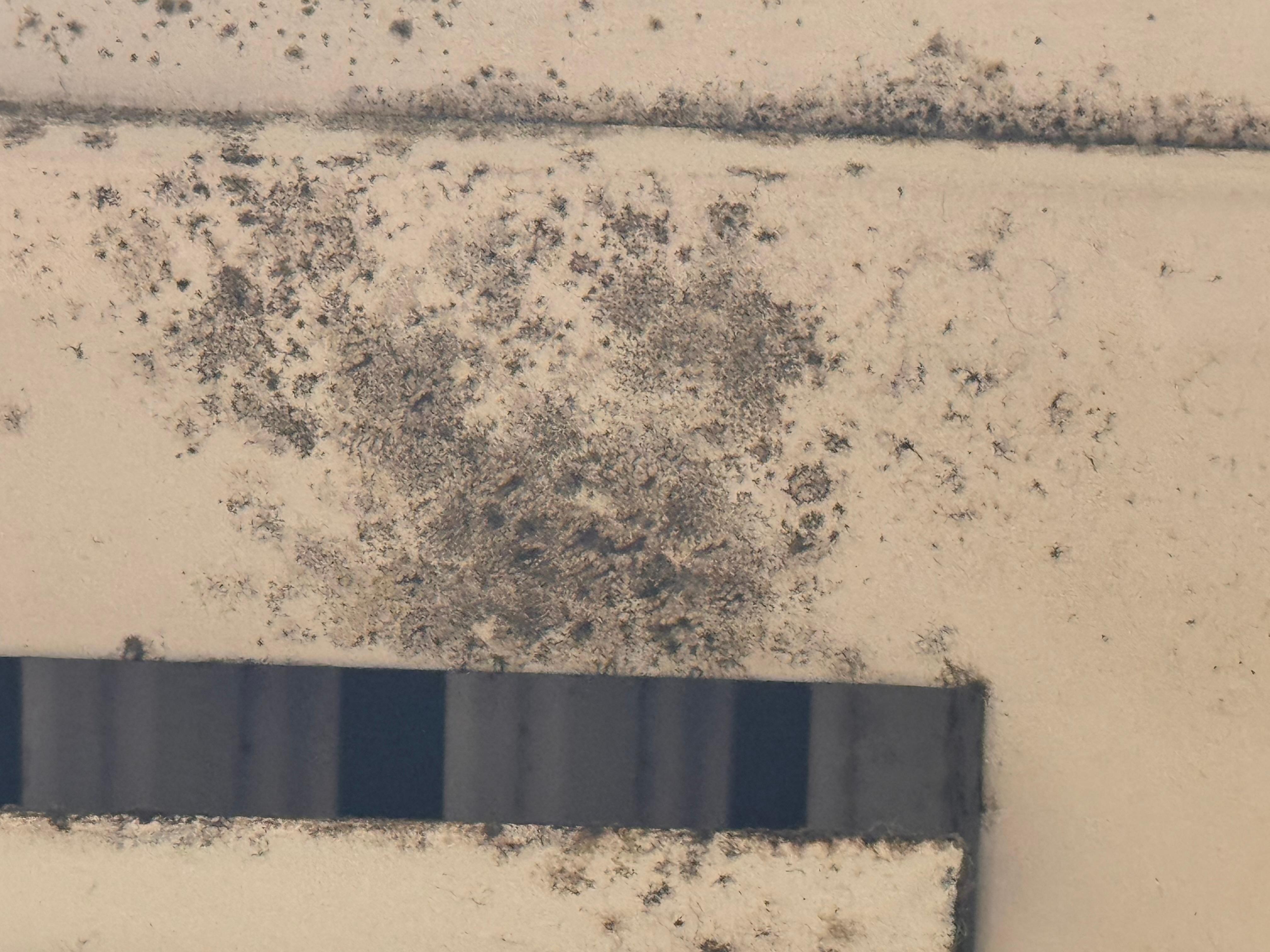 Close up of presumed mold - maintenance says dirt - in hallway vent