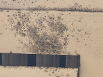 Close up of presumed mold - maintenance says dirt - in hallway vent