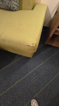 Ripped couch
