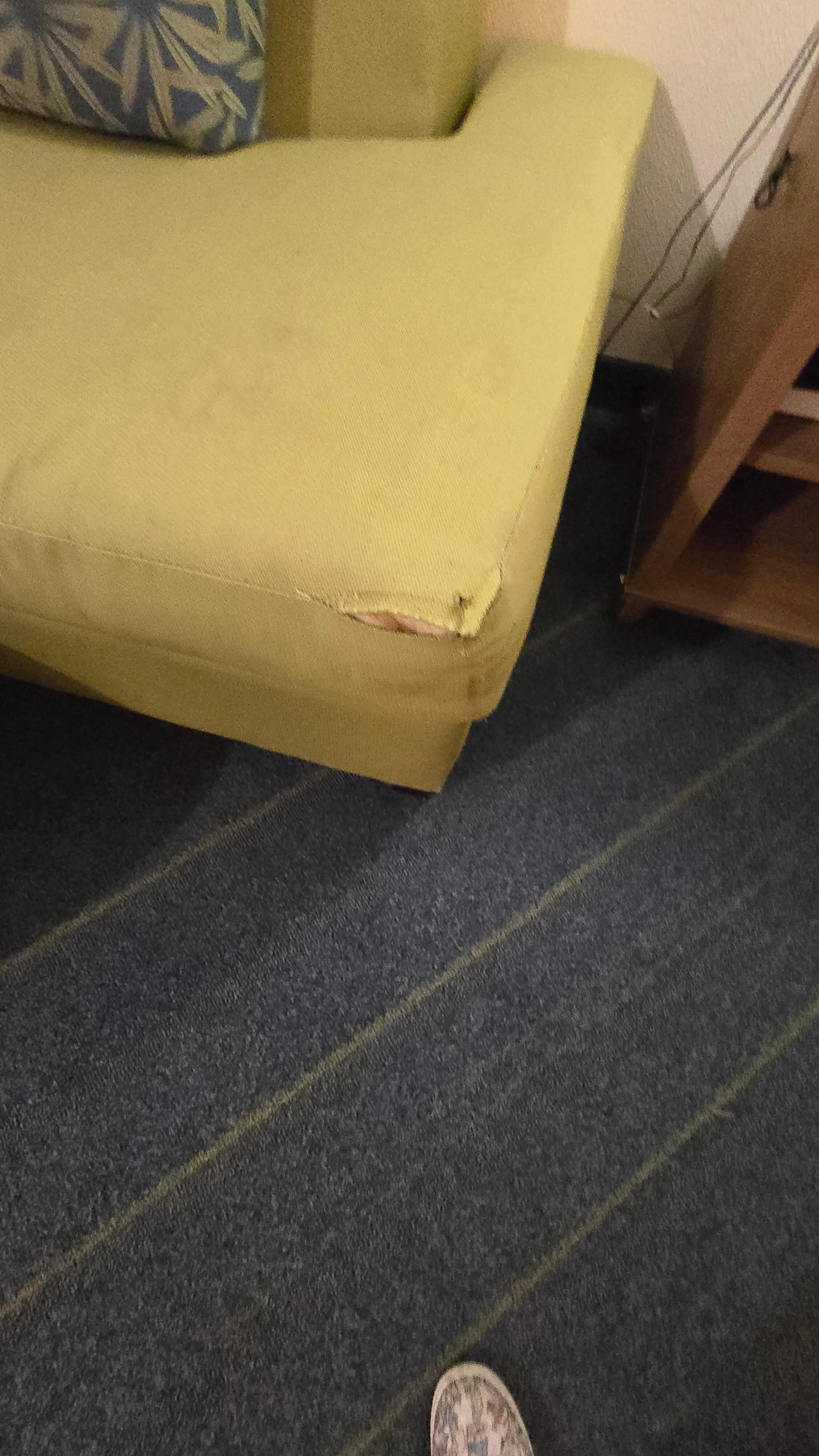 Ripped couch