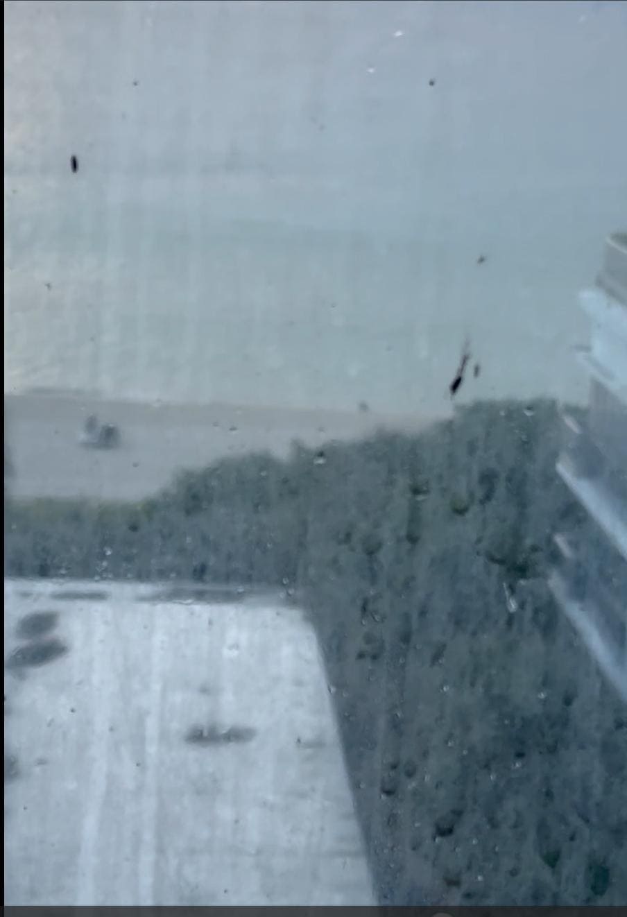 This is the dirty window in the hotel room that is suppose to give ocean view