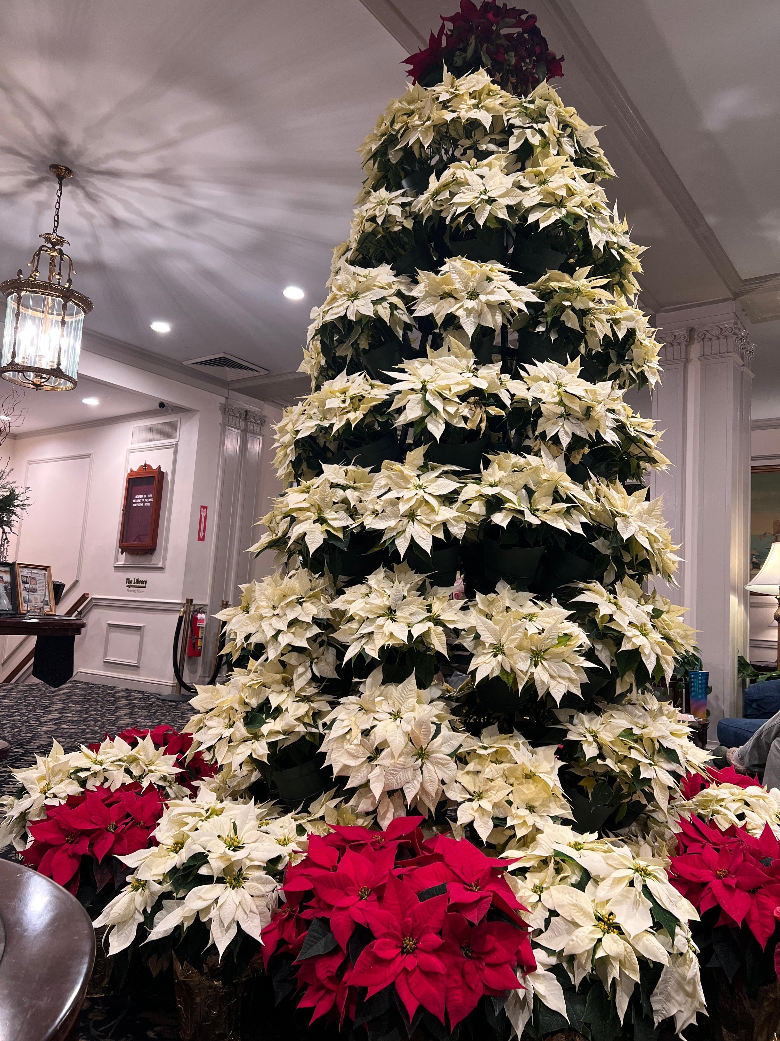 Decorated so festively for the Holidays!