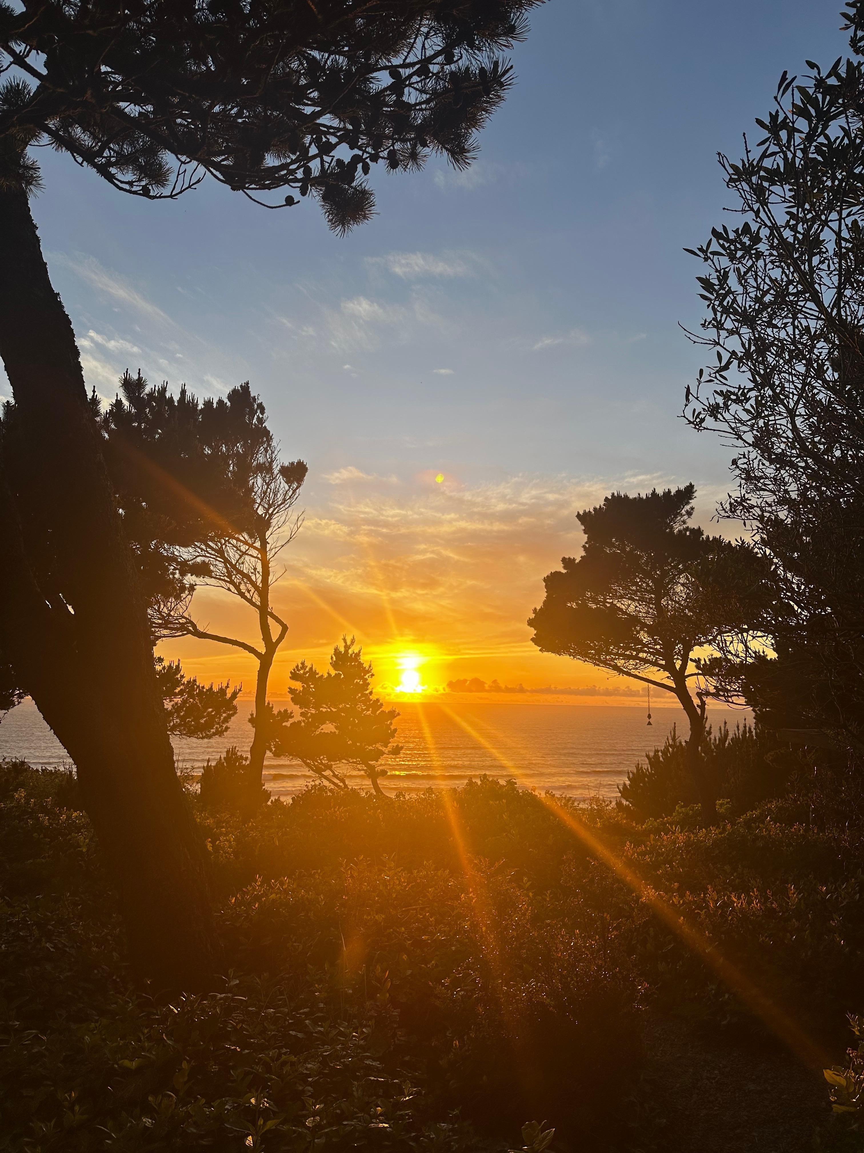 Sunset view sitting on the bench in the garden