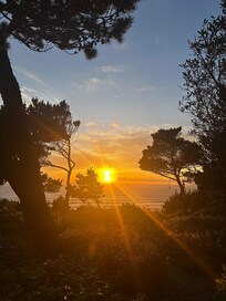 Sunset view sitting on the bench in the garden