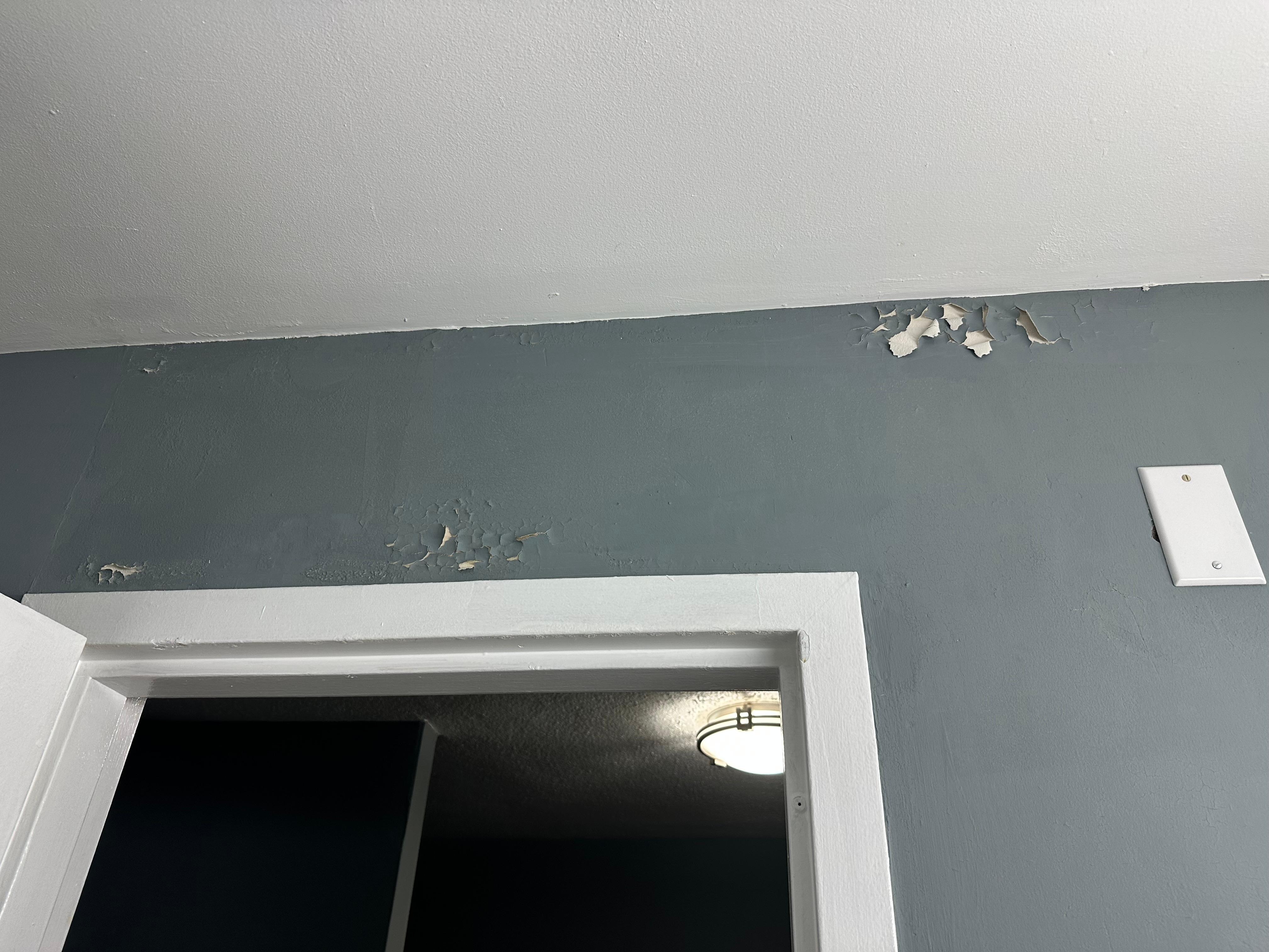 Bathroom paint peeling