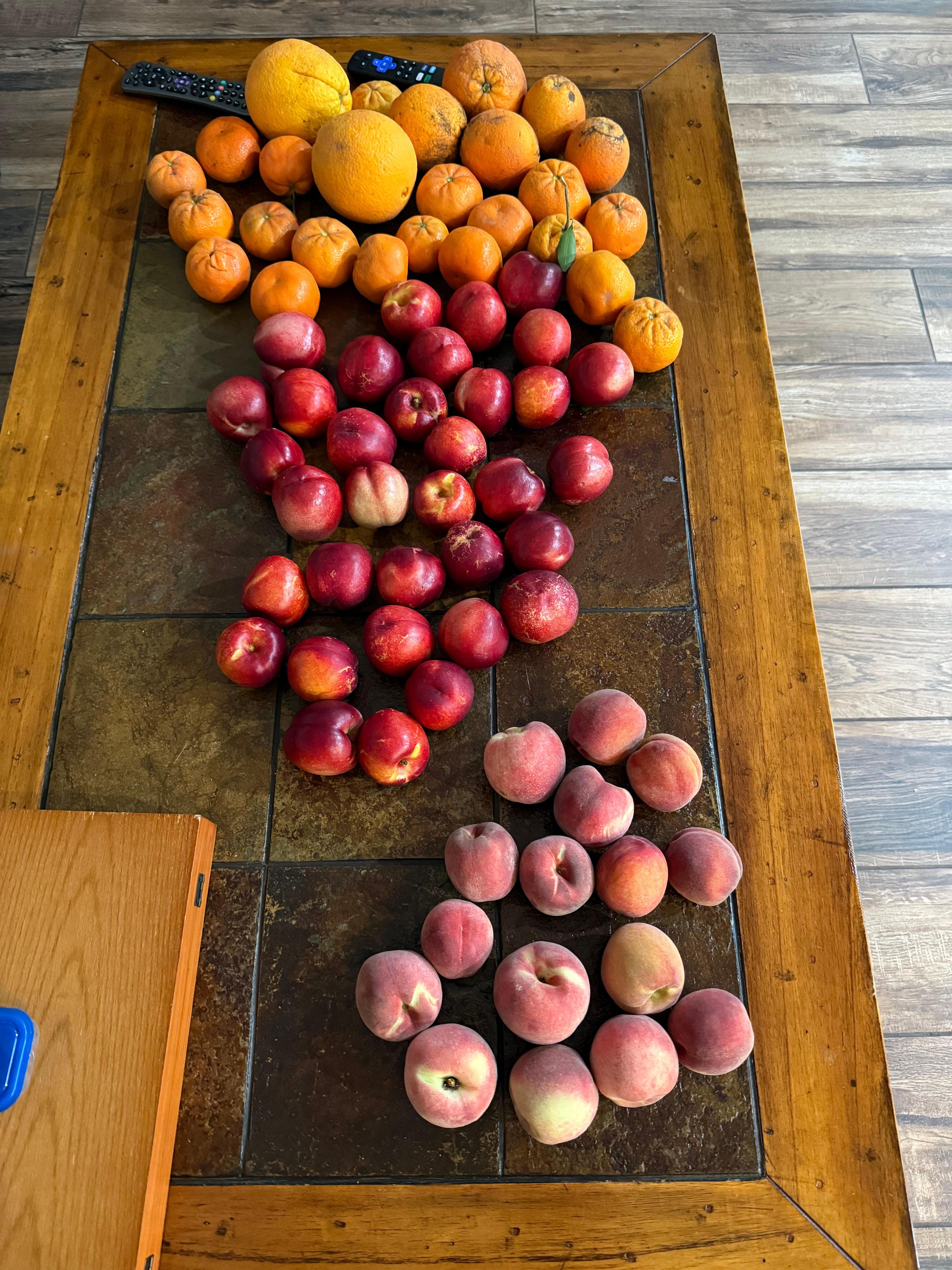 Fruits we picked from a nearby farm 