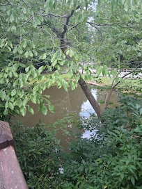 The pond right next to the cabin.