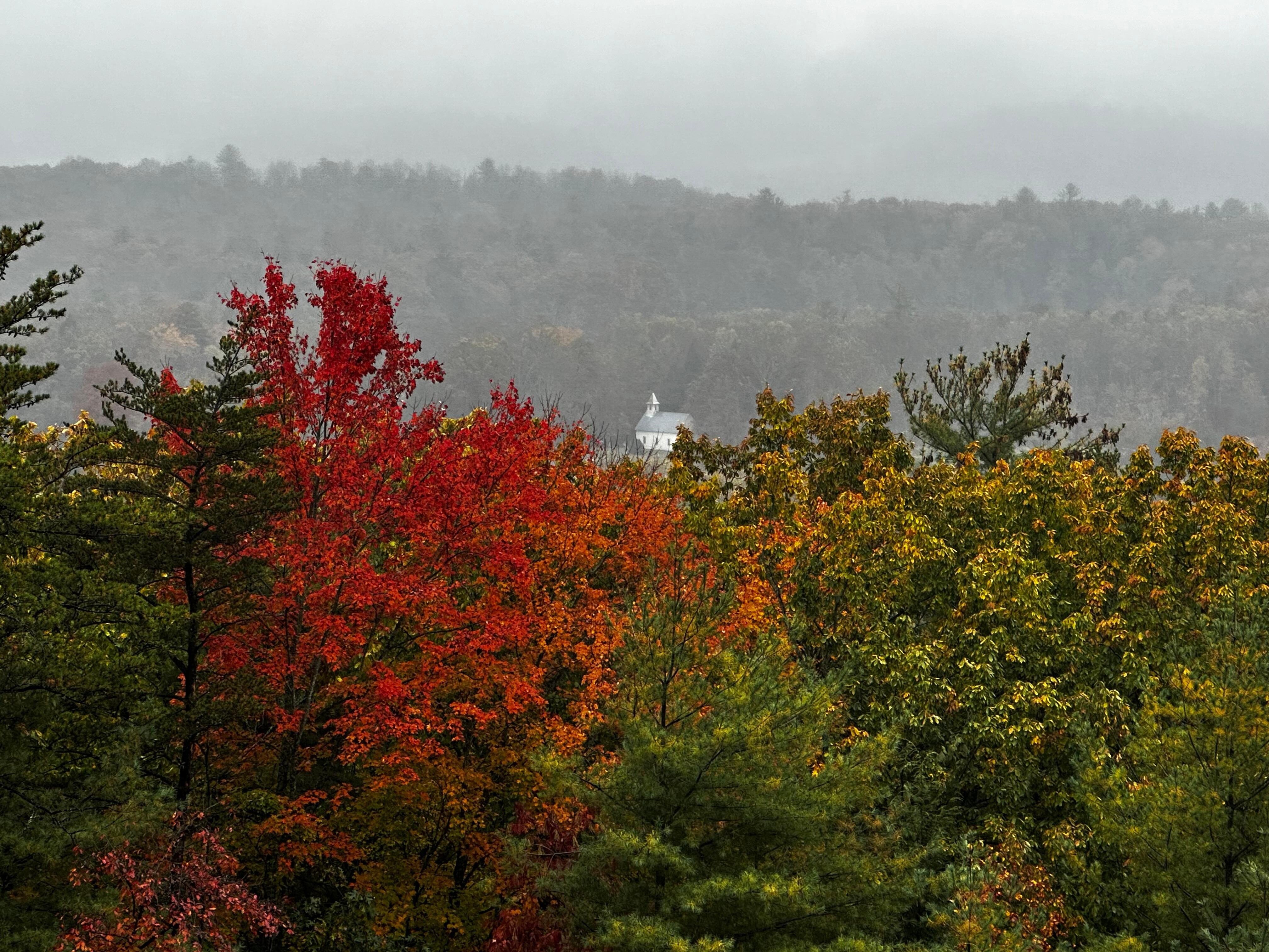 View from Parsons Branch Road of Cades Cove. Also a shortcut back to our cabin. 