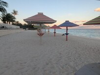 Umbrella Huts for Guests