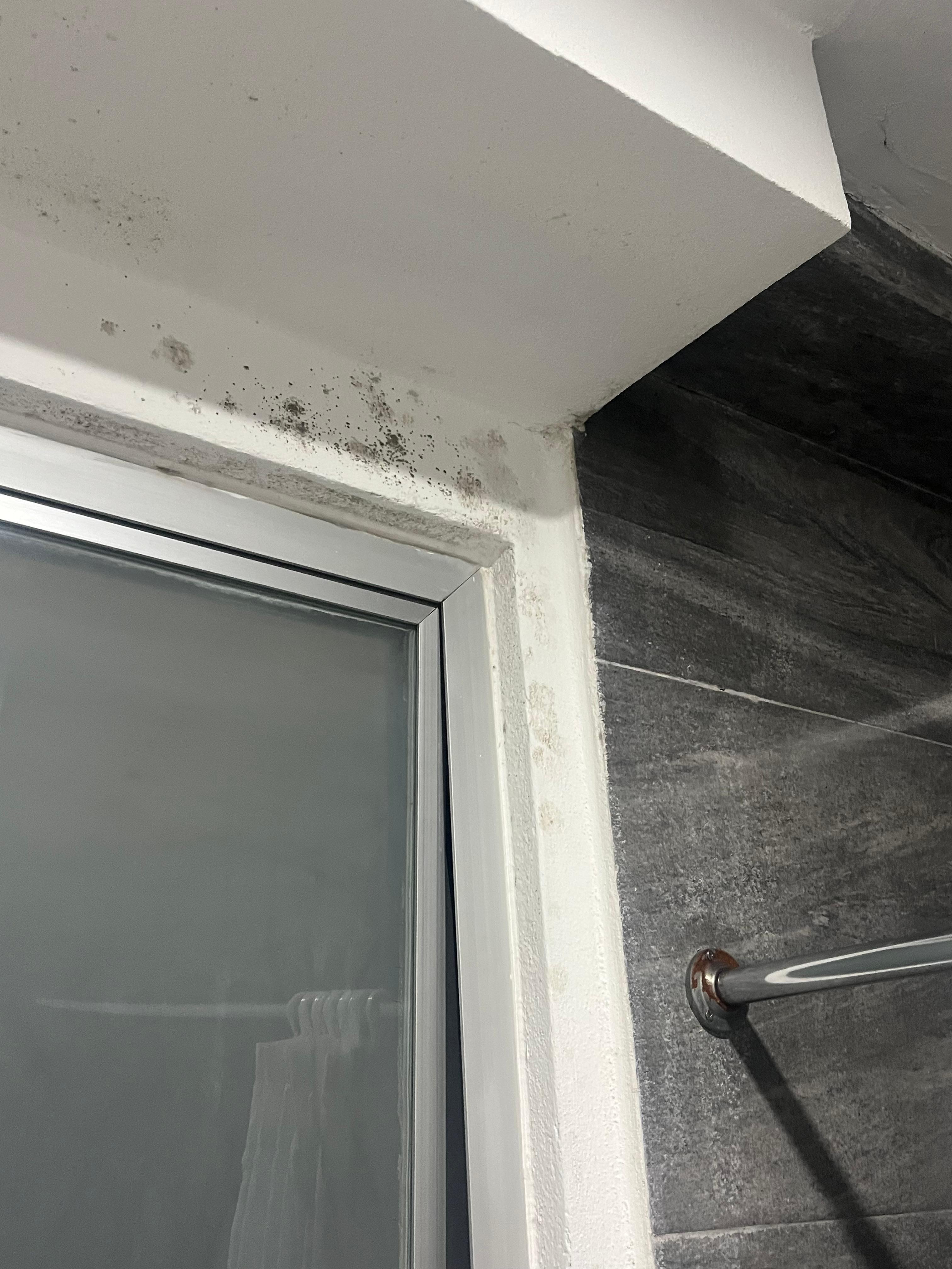 Paredes húmedas y con moho