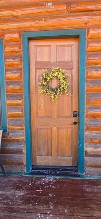 Bird poo on the door & entry