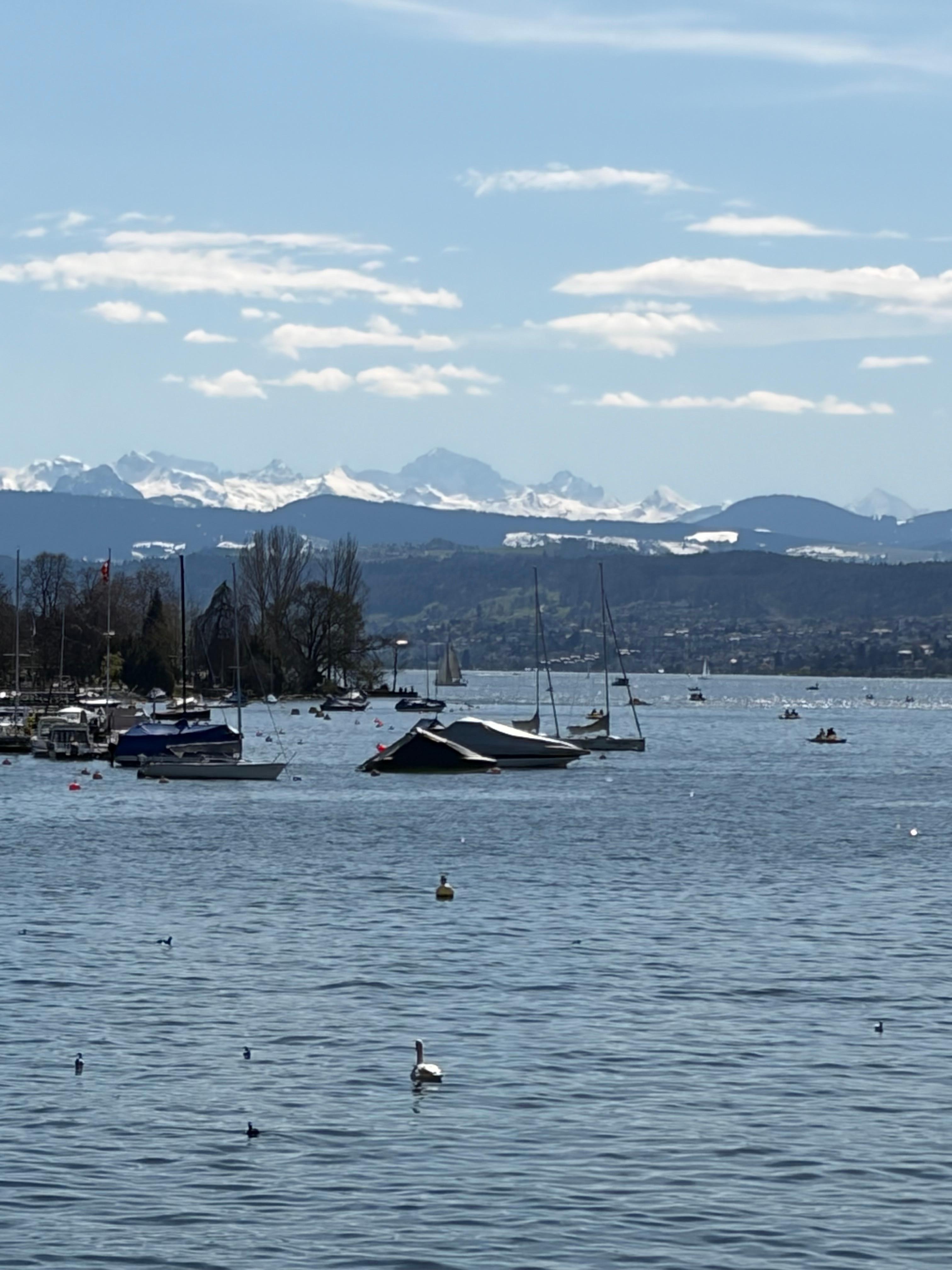 Lake Zurich (short walk)