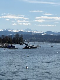 Lake Zurich (short walk)