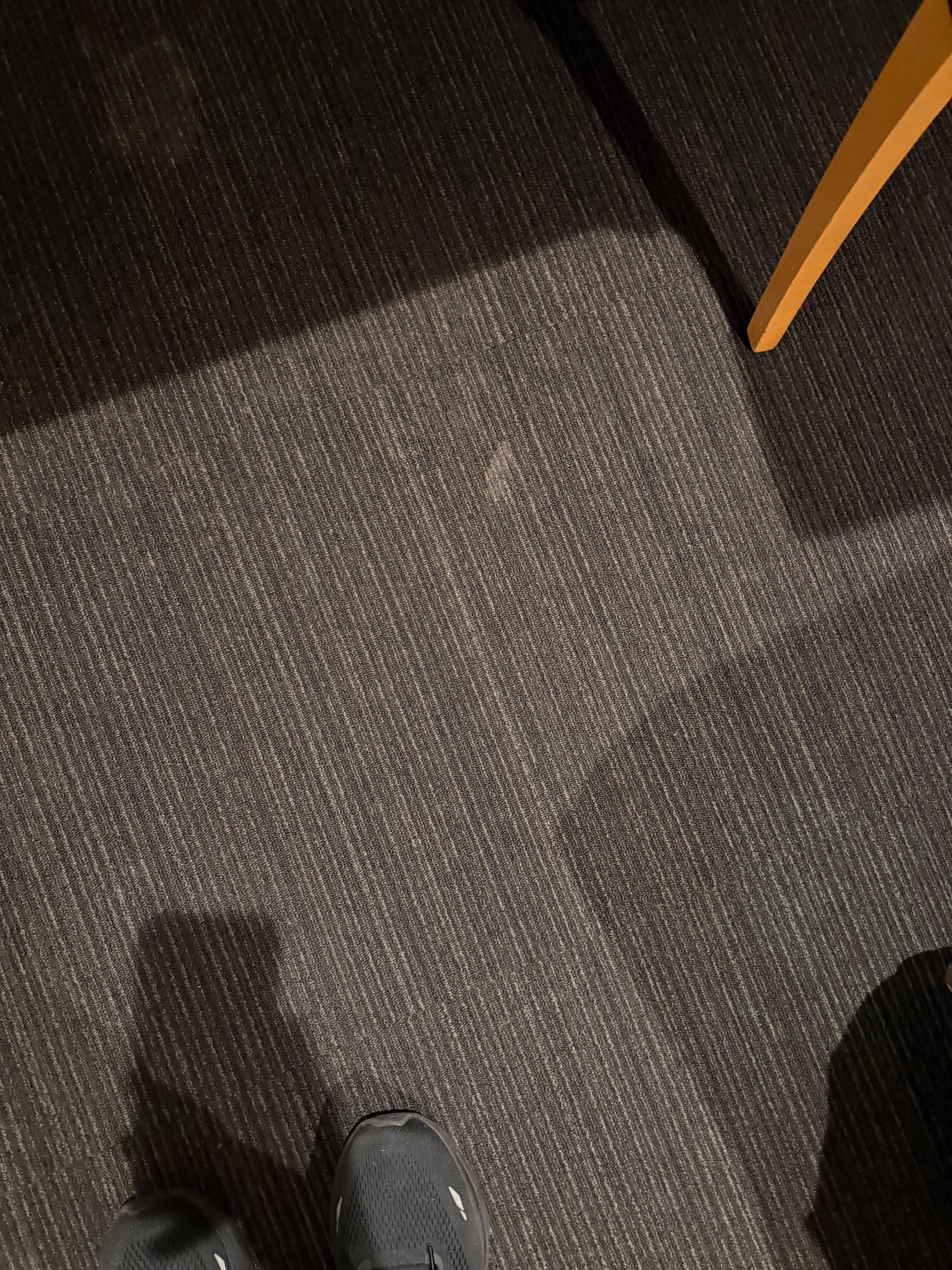White spots on carpet.