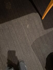 White spots on carpet.