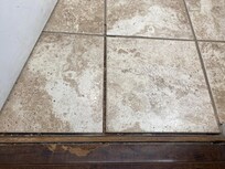 Again, the pictures don't show how messed up the bathroom floors and the hall bathroom vanity are.