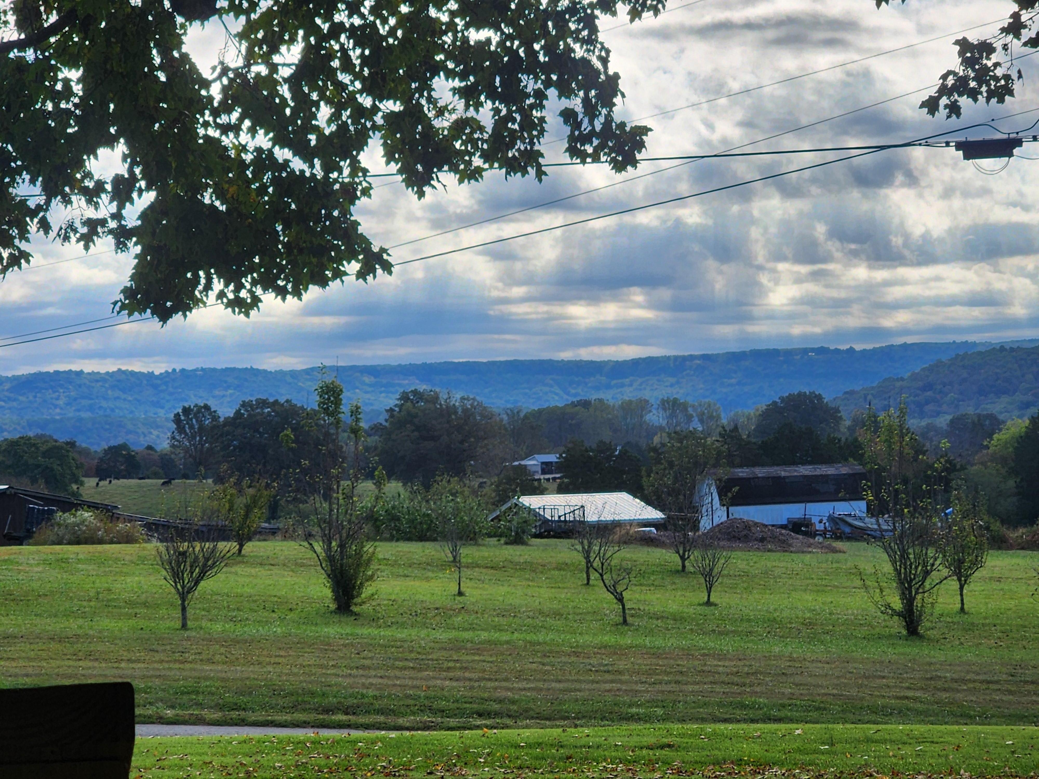 View from seat on porch
