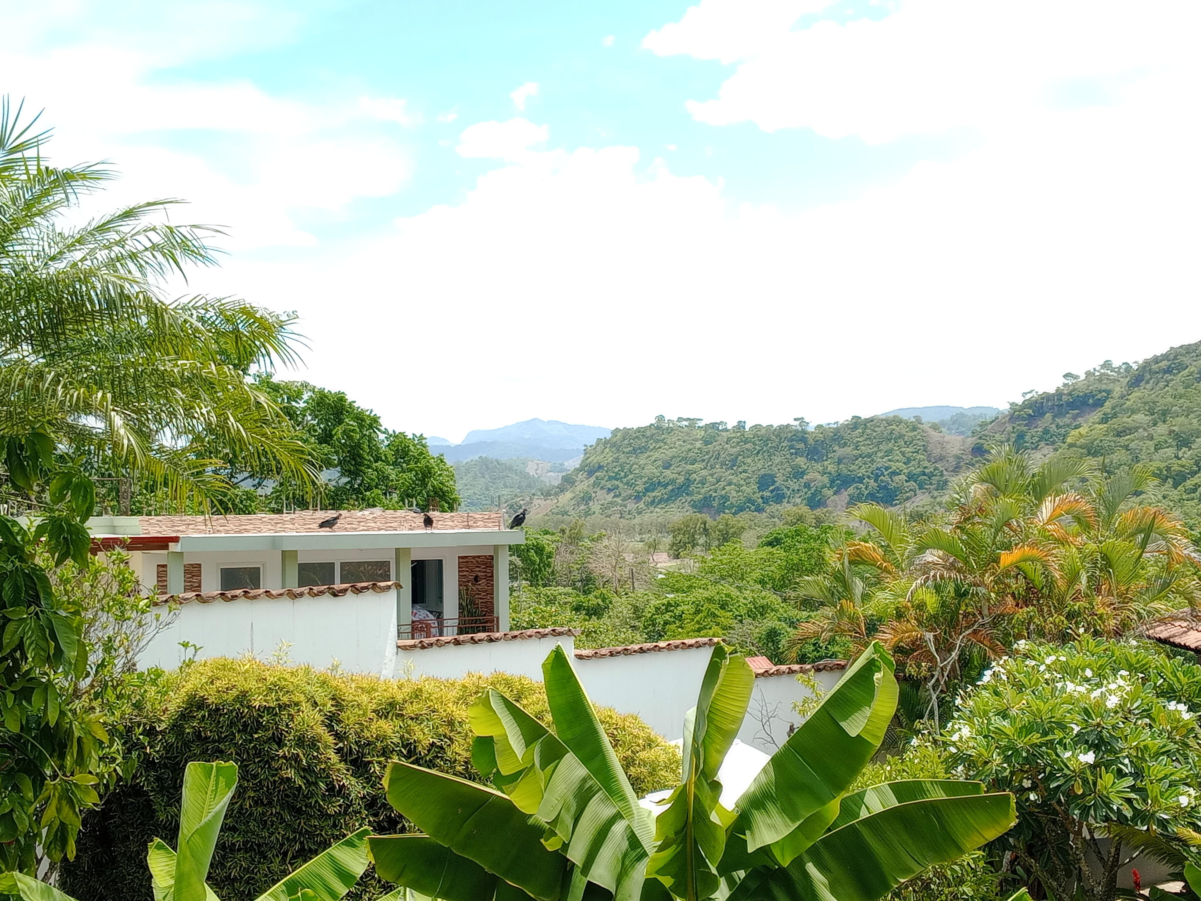 What a view from the terrace 