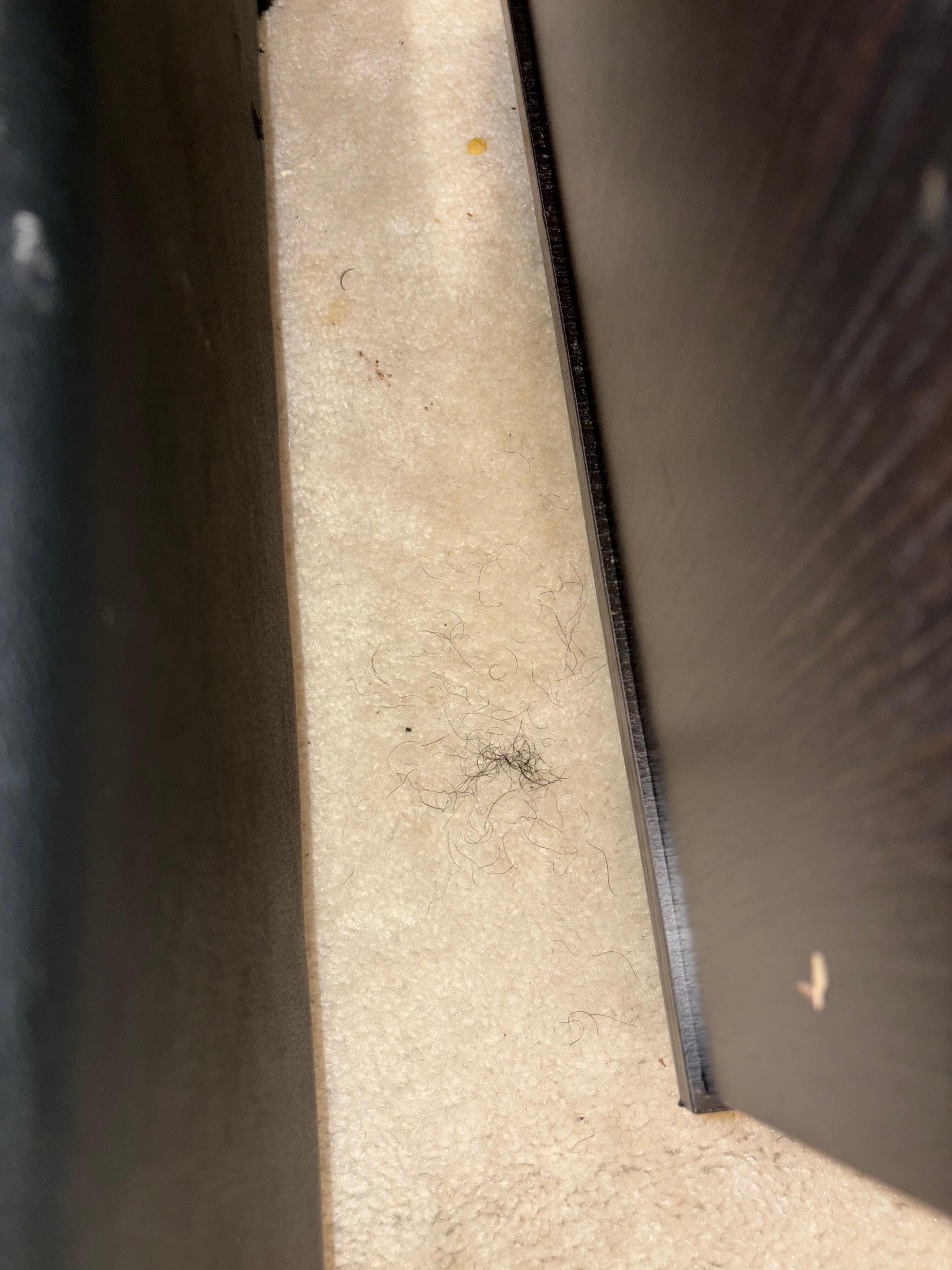 PUBIC HAIR