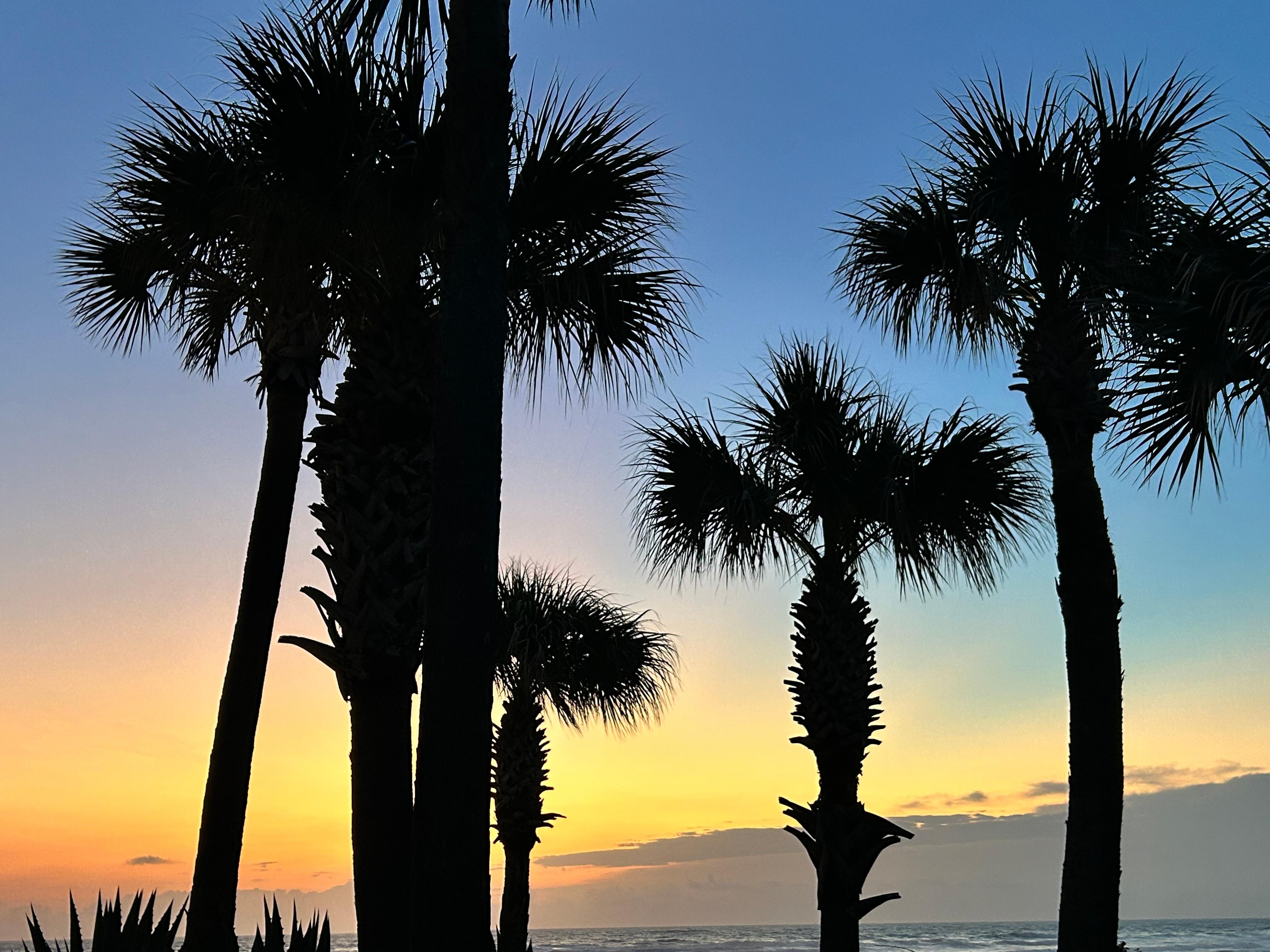 Sunrise at the condo