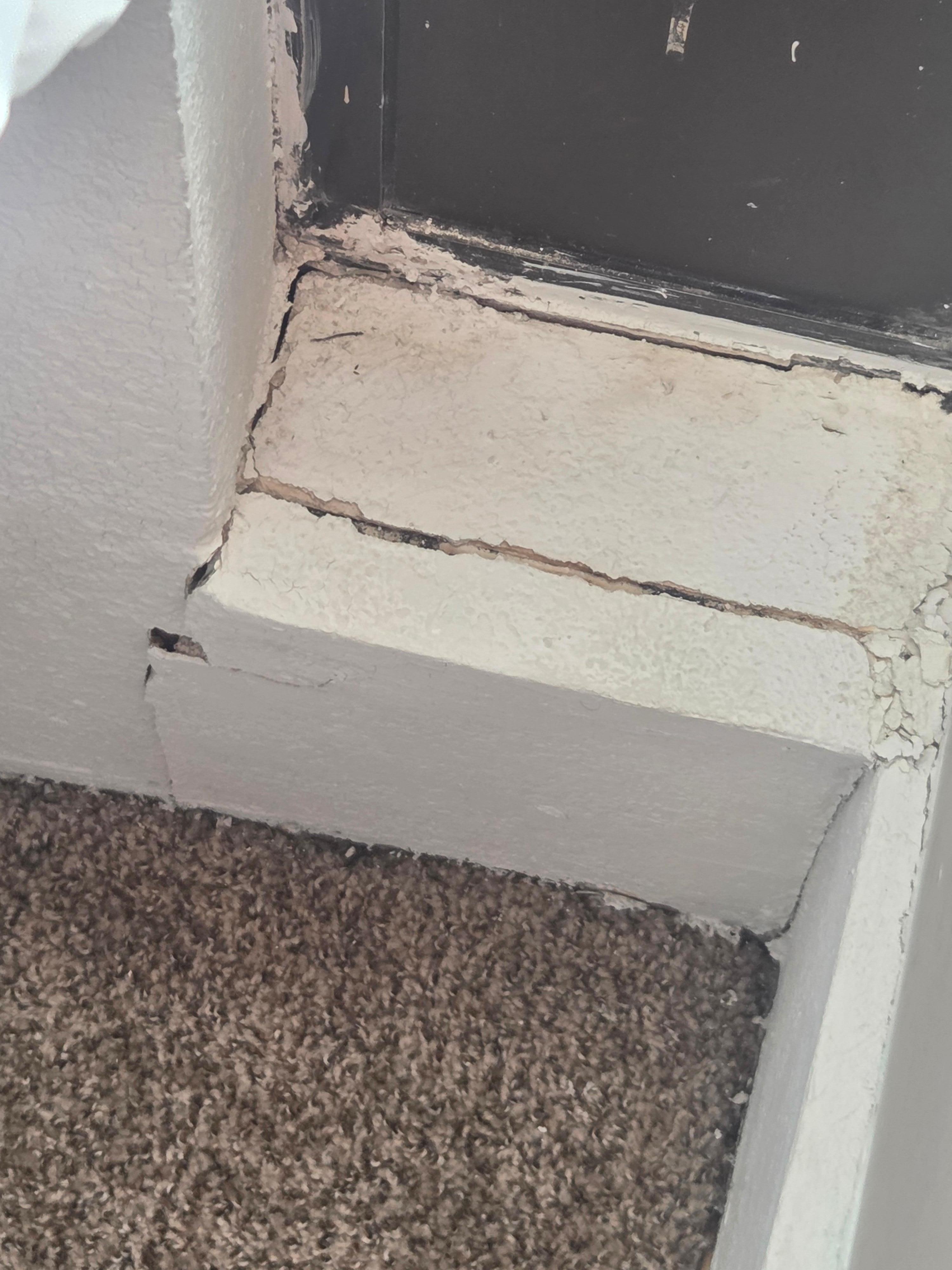 Window seals soft and smelt so terrible along with the carpet